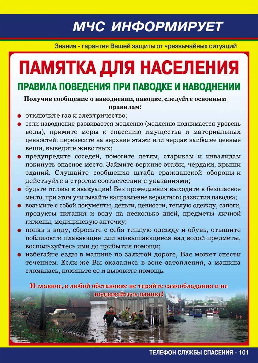 ПАвОДОК.jpg